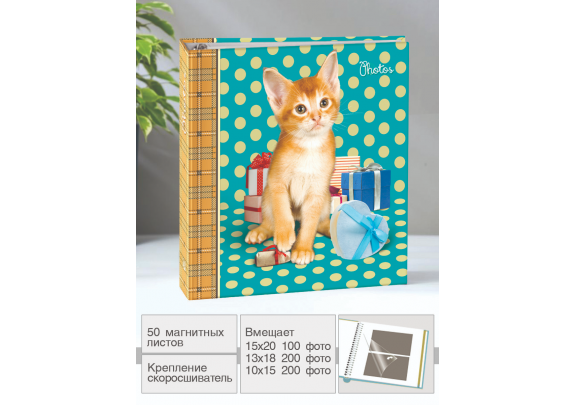 фотоальбом IA SA-50RB-P/23 магн.50л. 257 Рыжий котенок /23*2см фотоальбом IA SA-50RB-P/23 магн.50л. 257 Рыжий котенок /23*2см